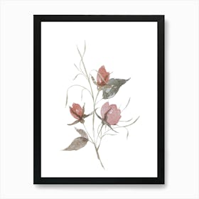 Watercolor Roses Art Print