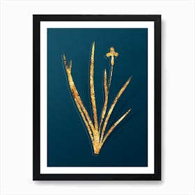 Vintage Iris Martinicensis Botanical in Gold on Teal Blue n.0262 Art Print