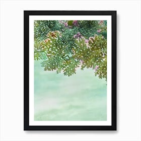 Acropora Latistella Storybook Watercolour Art Print