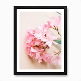 Pink Flower // Nature Photography Art Print