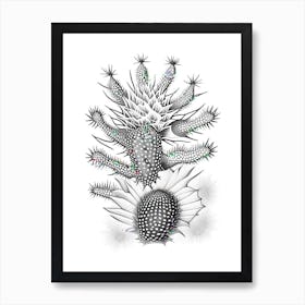 Star Cactus William Morris Inspired 2 Art Print