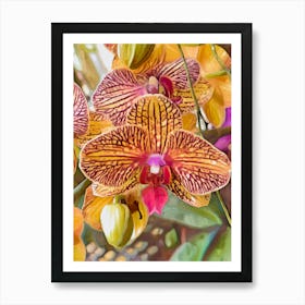 Moth Orchid Art Print