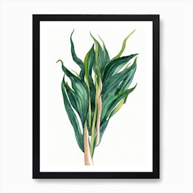 Lily Of The Valley (Convallaria Majalis) Watercolor Art Print