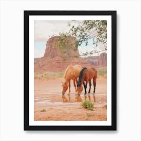 Utah Wild Horses Art Print