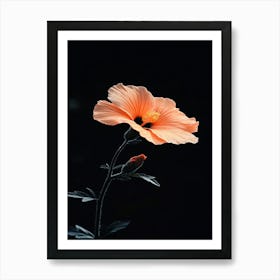 Hibiscus Flower 11 Art Print