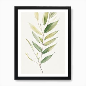 Willow Leaf Minimalist Watercolour 1 Art Print