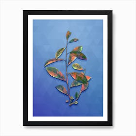 Vintage Grey Willow Botanical Art on Blue Perennial Art Print