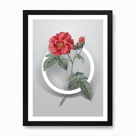 Vintage Apothecary Rose Minimalist Botanical Geometric Circle on Soft Gray Art Print