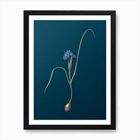 Vintage Barbary Nut Botanical Art on Teal Blue n.0517 Art Print