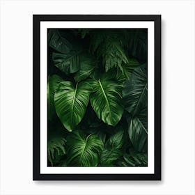 Tropical Leaves Background Art Print