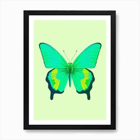 Pop Art Green Hairstreak Butterfly 4 Art Print
