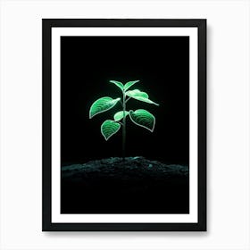 Green Plant On Black Background 3 Art Print