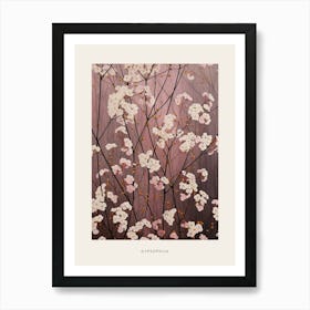 Flower Illustration Gypsophila Babys Breath 1 Poster Art Print