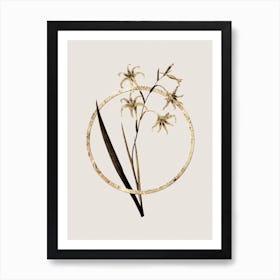 Gold Ring Gladiolus Cuspidatus Glitter Botanical Illustration n.0192 Art Print