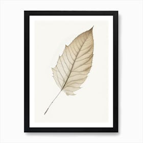 Birch Leaf Illustration Art Print