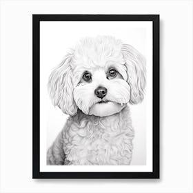 Bichon Frise Dog, Line Drawing 2 Art Print