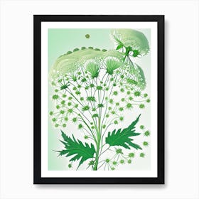 Queen Anne'S Lace 1 Floral Botanical Vintage Poster Flower Art Print