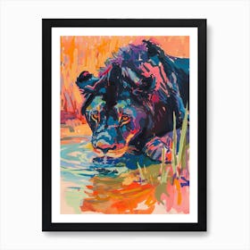 Black Lion Drinking From A Watering Hole Fauvist Painting 3 Art Print