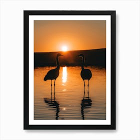 Sunset Sandhill Cranes Art Print