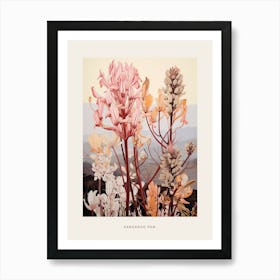 Flower Illustration Kangaroo Paw Flower 3 Poster Art Print