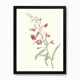 Pink Flowers Art Print