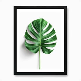 Monstera Leaf 10 Art Print