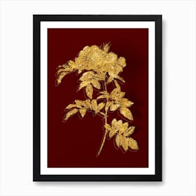 Vintage Shining Rosa Lucida Botanical in Gold on Red n.0317 Art Print