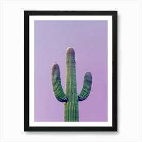 Saguaro Art Print