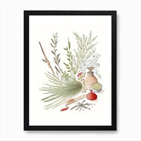 Butcher S Broom Spices And Herbs Pencil Illustration 4 Art Print