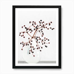 Berries_2114221 Art Print