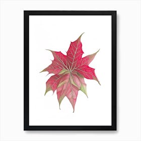 Poinsettia Leaf Art Print