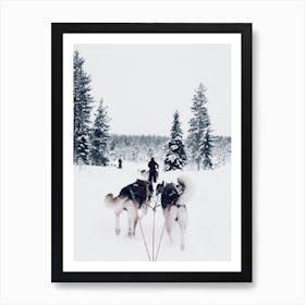 Sled Dog Team Art Print