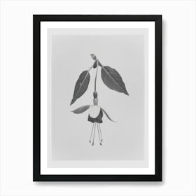 Fuchsia Flower Photo Collage 3 Art Print