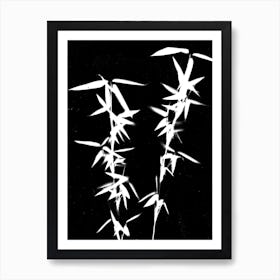 Black white bamboo Art Print