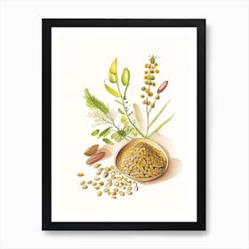 Fenugreek Seed Spices And Herbs Pencil Illustration 1 Art Print