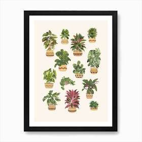 Plant Collection 7 Art Print