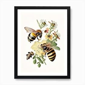 Forager Bees Vintage Art Print