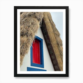 Thatched Roof Art Print