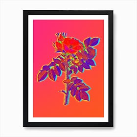 Neon Kamtschatka Rose Botanical in Hot Pink and Electric Blue n.0596 Art Print