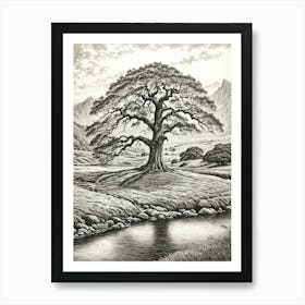 highly detailed pencil sketch of oak tree next to stream, mountain background 4 Art Print