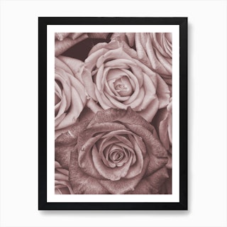 Vintage Style Roses Pink Art Print