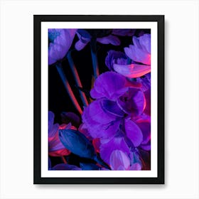 Purple Flowers 2 Art Print