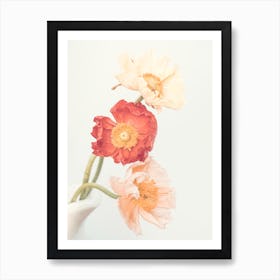 Poppies (2) Art Print