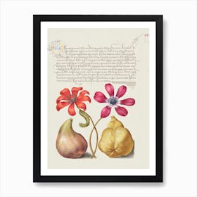 Poppy Anemones, Caterpillar, Fig, And Quince From Mira Calligraphiae Monumenta, Joris Hoefnagel Art Print