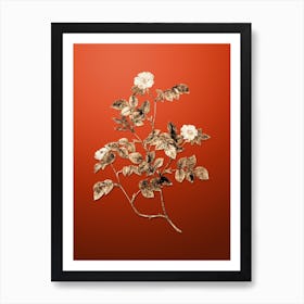 Gold Botanical Sweetbriar Rose on Tomato Red n.0493 Art Print