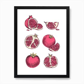 Pomegranates Art Print