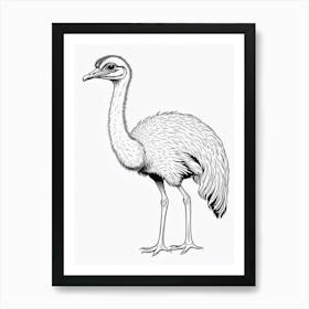 Ostrich Coloring Page Bird Wildlife Animal Drawing Art Print