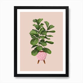 Ficus Lyrata On Beige Art Print