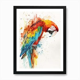 Macaw Colourful Watercolour 4 Art Print