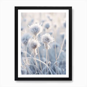 Frosty Botanical Everlasting Flower 1 Art Print